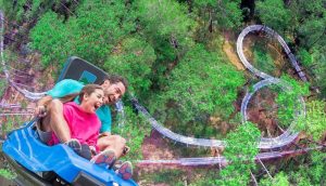 Top 3 Most Beautiful Waterfalls in Dalat Alpnie coaster