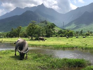 Dalat Easy Rider Motorbike Tour to Nha Trang