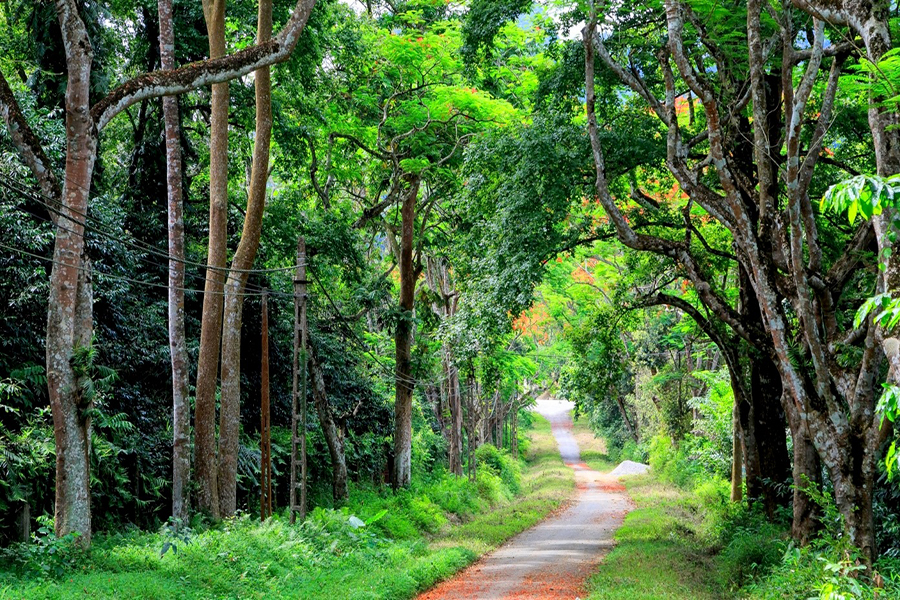 Hoi An Easy Rider Motorbike Tour to Ho Chi Minh