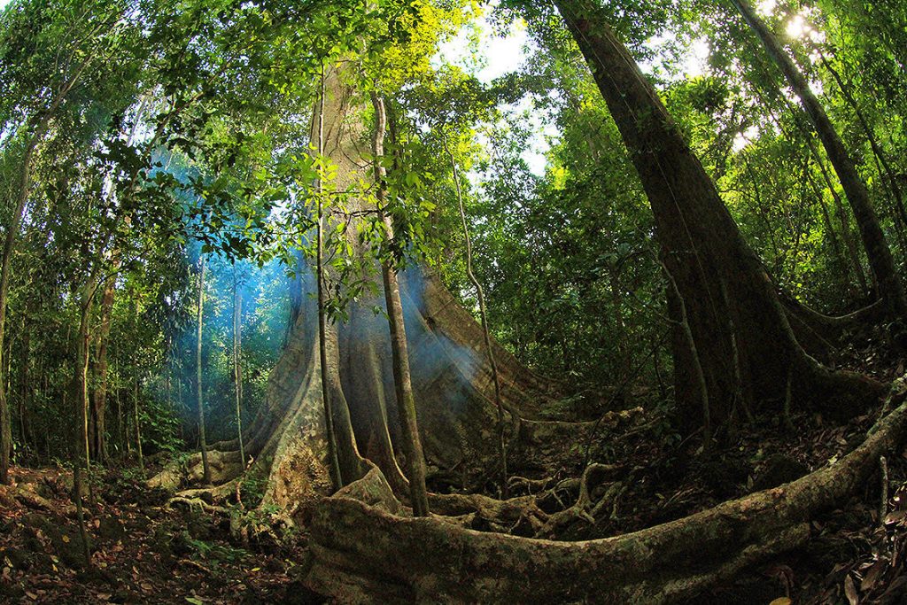 HCMc Tour to Cat Tien National Park