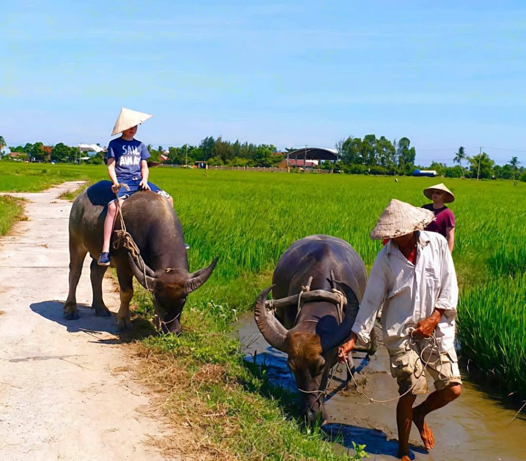 Hoi An Easy Rider Motorbike to Dalat