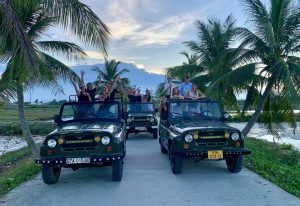 Travellers in open-top jeeps beside palm trees in Vietnam