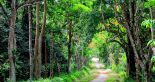 Hoi An Easy Rider Motorbike Tour to Ho Chi Minh