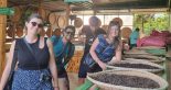Easy Rider Dalat Motorbike Tour to Nha Trang
