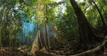 Saigon to Da Lat via Cat Tien National Park – 3 Days