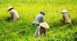 Easy Rider Da Lat Motorbike tour to Ho Chi Minh