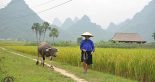Northern Vietnam – Why We Should Travel By Motorbikes?
